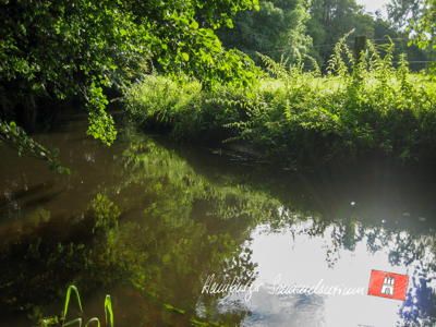 Oberlauf der Alster bei Stegen