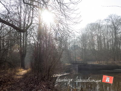 Gleicher Standort 108 Jahre später. Stand 13.2.2017