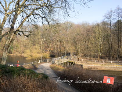 Blick vom gleichen Standort 118 Jahre später. Stand 13.2.2017
