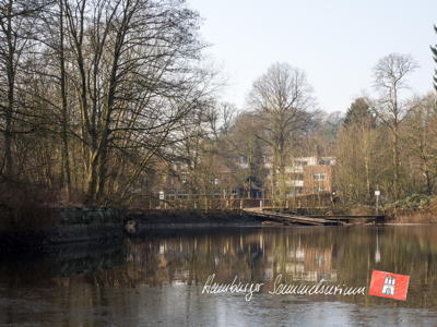 Der gleiche Standort 107 Jahre später. Stand 13.2.2017