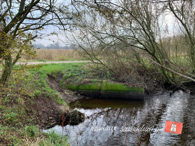 Ableitung in die Alster, kurz vor der Mündung bei Stegen.