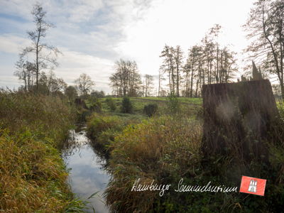 Die Alte Alster als Teil des Burggrabens der ehemaligen Burg Stegen.