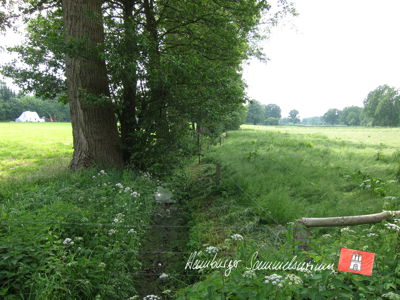 Die Alte Alster bei Nienwohld.