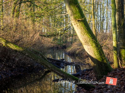 Mündung der Alten Alster in die Alster.