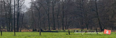 Burghügel der ehemaligen Burg Stegen von Norden gesehen.