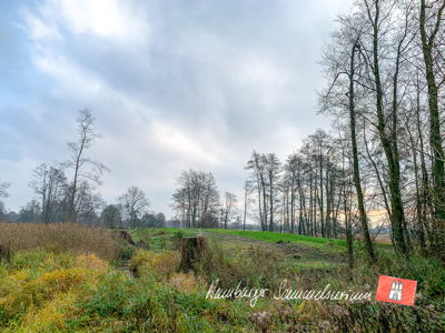 Burg Stegen von Nordwesten.