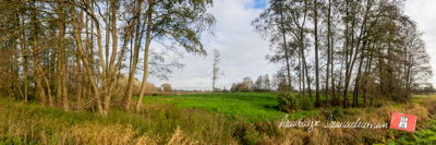 Burghügel der ehemaligen Burg Stegen von Süden gesehen.