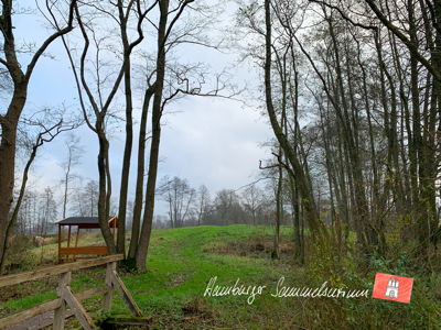 Burg Stegen von Westen.