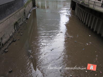 Rest des zugeschütteten Steckelhörnfleet bei Niedrigwasser. Links unten 2 Stockenten beim fleetenkieken. Rest des zugeschütteten Steckelhörnfleet bei Niedrigwasser. Links unten 2 Stockenten beim fleetenkieken.