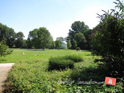 Hayns Park, Blick in Richtung Alsterlauf.