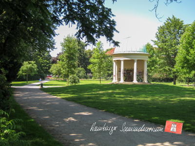 Monopterus im Hayns Park.