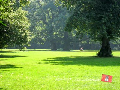 Eine Bank auf großer Wiese unter alten Bäumen. Eine Bank auf großer Wiese unter alten Bäumen.