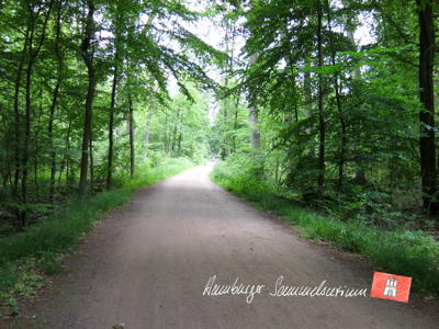 Ehemaliger Trassenverlauf durch den Wohldorfer Wald Ehemaliger Trassenverlauf durch den Wohldorfer Wald