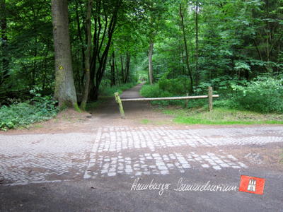 Bahntrasse nahe der ehemaligen Haltestelle „Tannenallee“ am Mühlenredder. Bahntrasse nahe der ehemaligen Haltestelle „Tannenallee“ am Mühlenredder.