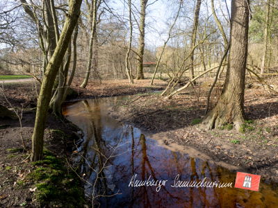 Die Mellingbek unterhalb des Kupferteichs.
