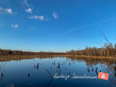 Moorsee im Wittmoor am 3.4.2021 Moorsee im Wittmoor am 3.4.2021
