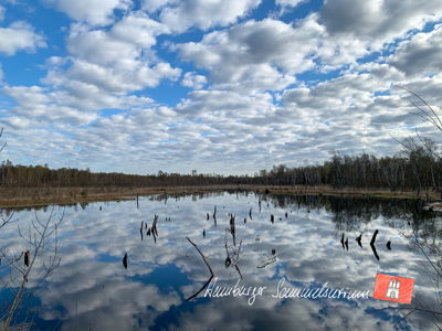 Moorsee im Wittmoor am 26.4.2021 Moorsee im Wittmoor am 26.4.2021