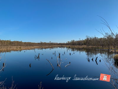 Moorsee im Wittmoor am 27.4.2021 Moorsee im Wittmoor am 27.4.2021