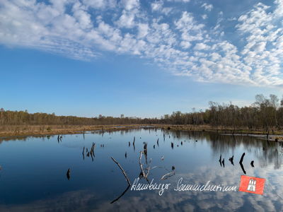 Moorsee im Wittmoor am 28.4.2021 Moorsee im Wittmoor am 28.4.2021