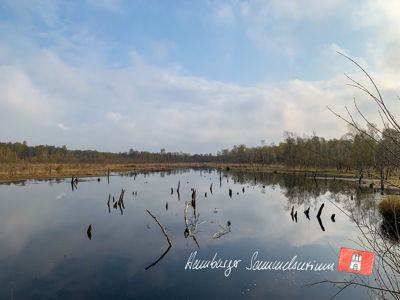 Moorsee im Wittmoor am 30.4.2021 Moorsee im Wittmoor am 30.4.2021