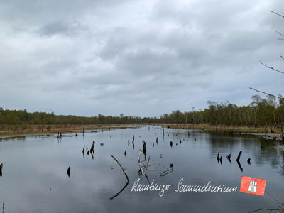 Moorsee im Wittmoor am 4.5.2021 Moorsee im Wittmoor am 4.5.2021