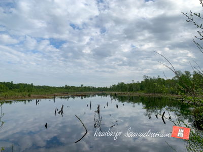 Moorsee im Wittmoor am 17.5.2021 Moorsee im Wittmoor am 17.5.2021