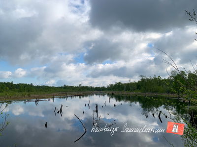 Moorsee im Wittmoor am 19.5.2021 Moorsee im Wittmoor am 19.5.2021