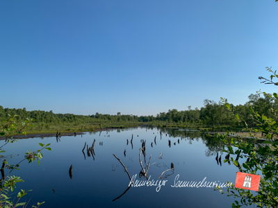 Moorsee im Wittmoor am 28.6.2021 Moorsee im Wittmoor am 28.6.2021