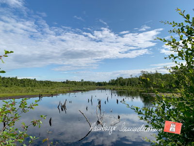 Moorsee im Wittmoor am 6.7.2021 Moorsee im Wittmoor am 6.7.2021