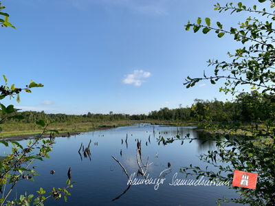 Moorsee im Wittmoor am 9.8.2021 Moorsee im Wittmoor am 9.8.2021