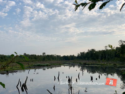 Moorsee im Wittmoor am 12.8.2021 Moorsee im Wittmoor am 12.8.2021
