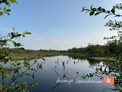 Moorsee im Wittmoor am 13.8.2021 Moorsee im Wittmoor am 13.8.2021