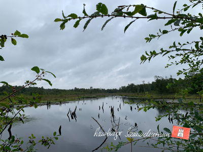 Moorsee im Wittmoor am 16.8.2021 Moorsee im Wittmoor am 16.8.2021