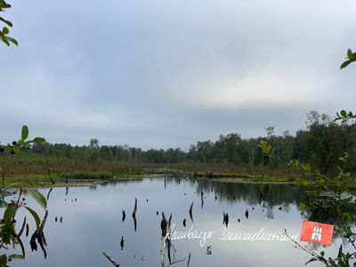 Moorsee im Wittmoor am 1.9.2021 Moorsee im Wittmoor am 1.9.2021
