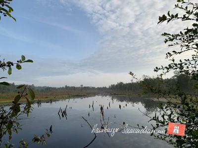 Moorsee im Wittmoor am 7.9.2021 Moorsee im Wittmoor am 7.9.2021