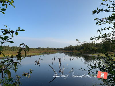 Moorsee im Wittmoor am 8.9.2021 Moorsee im Wittmoor am 8.9.2021