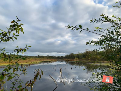 Moorsee im Wittmoor am 14.9.2021 Moorsee im Wittmoor am 14.9.2021