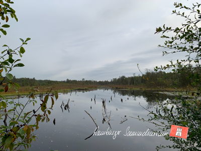 Moorsee im Wittmoor am 21.9.2021 Moorsee im Wittmoor am 21.9.2021