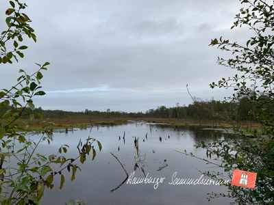 Moorsee im Wittmoor am 24.9.2021 Moorsee im Wittmoor am 24.9.2021