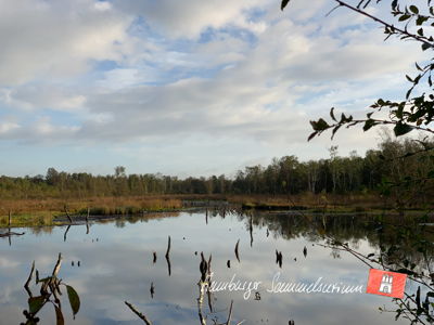 Moorsee im Wittmoor am 28.9.2021 Moorsee im Wittmoor am 28.9.2021