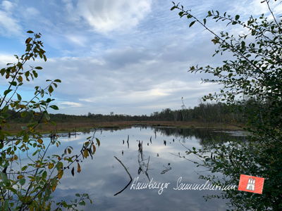 Moorsee im Wittmoor am 4.10.2021 Moorsee im Wittmoor am 4.10.2021