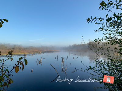 Moorsee im Wittmoor am 7.10.2021 Moorsee im Wittmoor am 7.10.2021