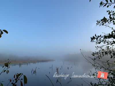 Moorsee im Wittmoor am 8.10.2021 Moorsee im Wittmoor am 8.10.2021