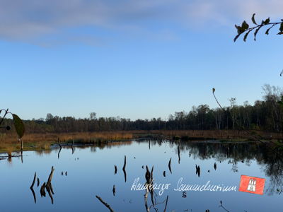 Moorsee im Wittmoor am 12.10.2021 Moorsee im Wittmoor am 12.10.2021