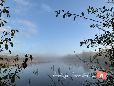 Moorsee im Wittmoor am 13.10.2021 Moorsee im Wittmoor am 13.10.2021