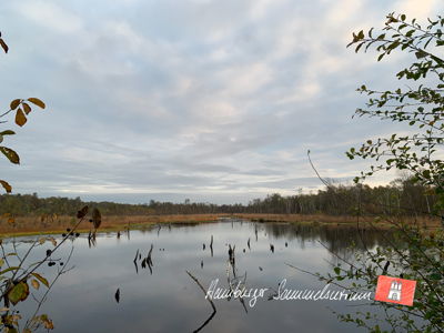 Moorsee im Wittmoor am 18.10.2021 Moorsee im Wittmoor am 18.10.2021