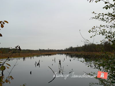 Moorsee im Wittmoor am 19.10.2021 Moorsee im Wittmoor am 19.10.2021
