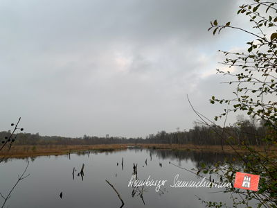 Moorsee im Wittmoor am 26.10.2021 Moorsee im Wittmoor am 26.10.2021