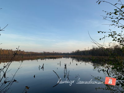 Moorsee im Wittmoor am 28.10.2021 Moorsee im Wittmoor am 28.10.2021