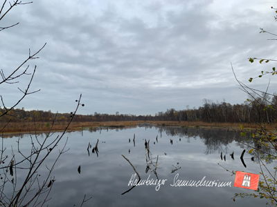 Moorsee im Wittmoor am  2.11.2021 Moorsee im Wittmoor am  2.11.2021